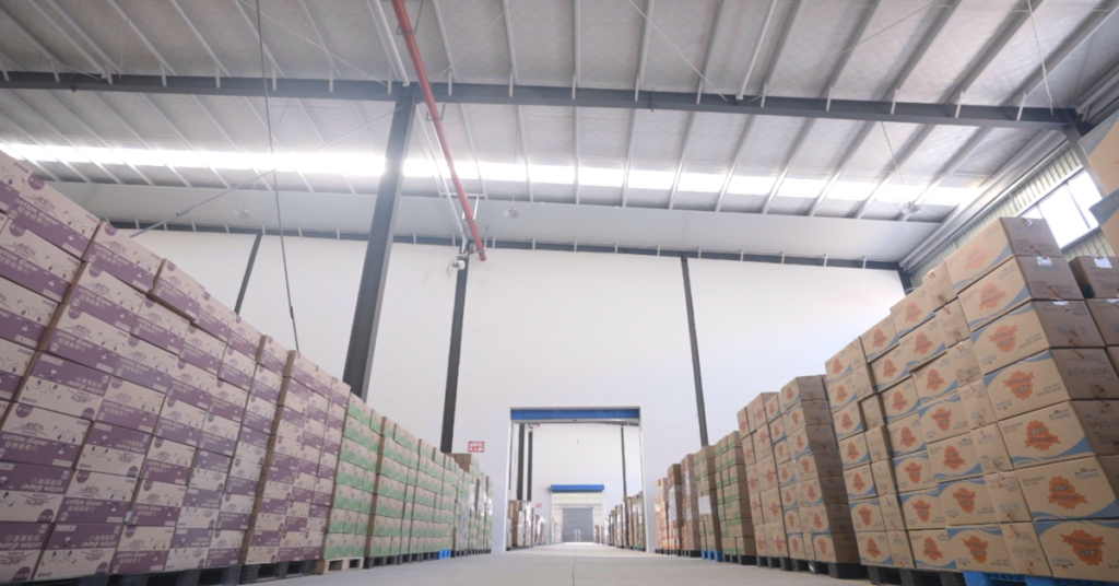 diaper manufacturer